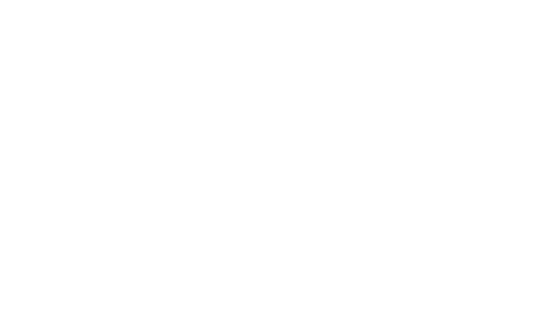 2Wheel Development logo