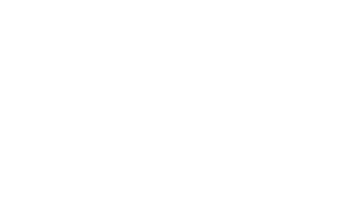 Battalion Operations logo