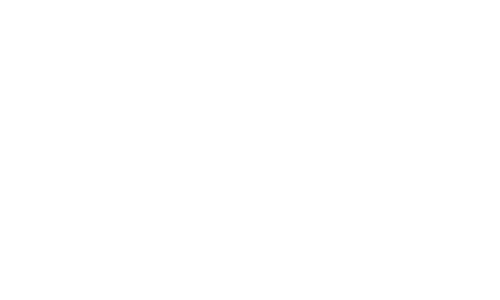 Bulldog Carwash Express logo