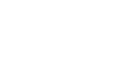 Five Point 5 Skinhouse logo