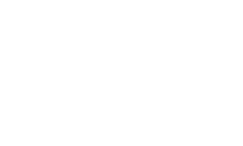 Strapzy's Shinnies logo