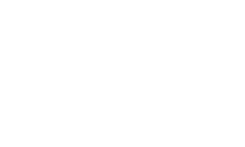 Bramley Plumbing logo
