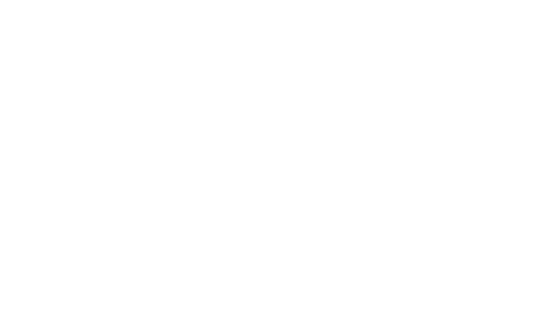 PMC Paint logo
